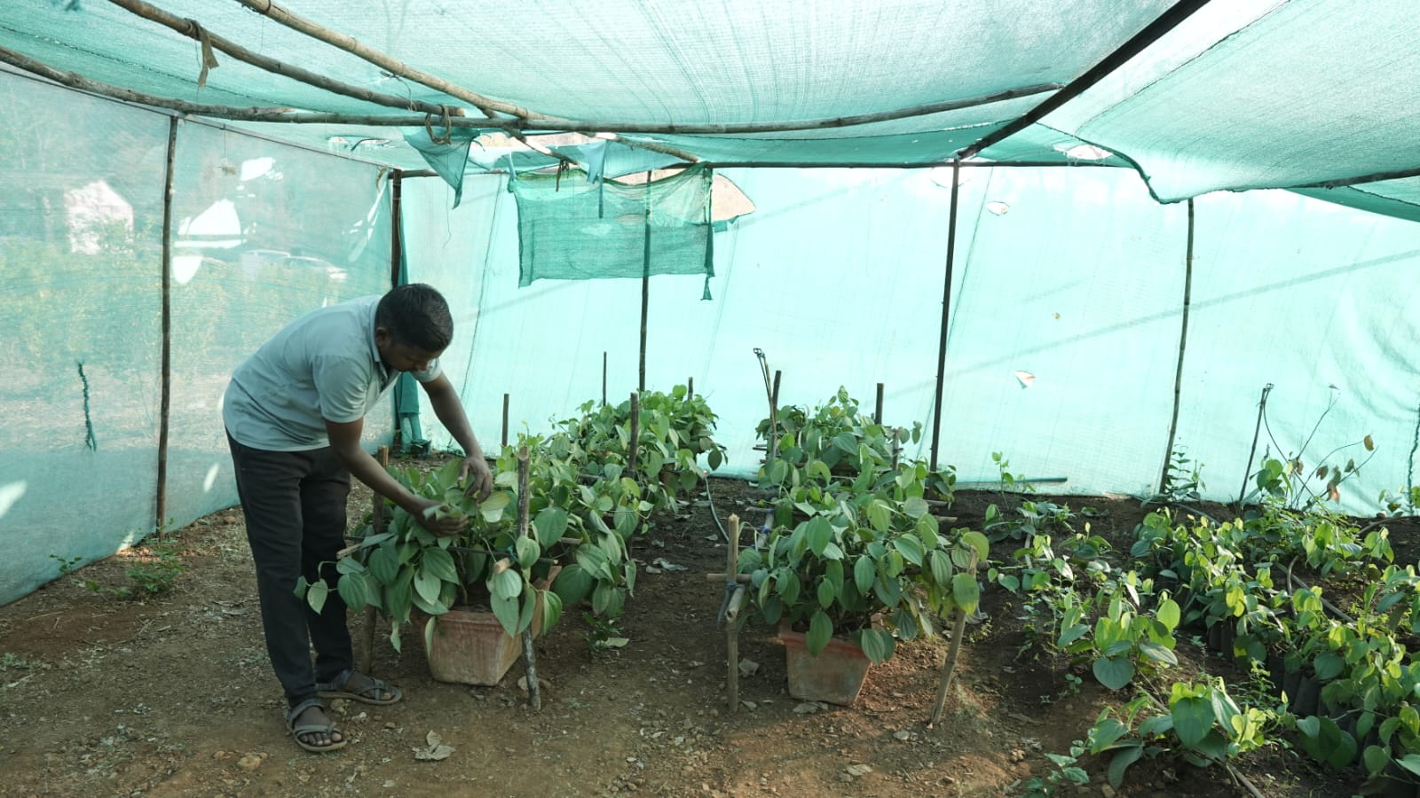 Chandrakant Sonya Andher 2